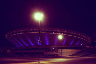 2025电竞新篇章：超级联赛精彩纷呈，谁会登顶？，2020电竞赛事